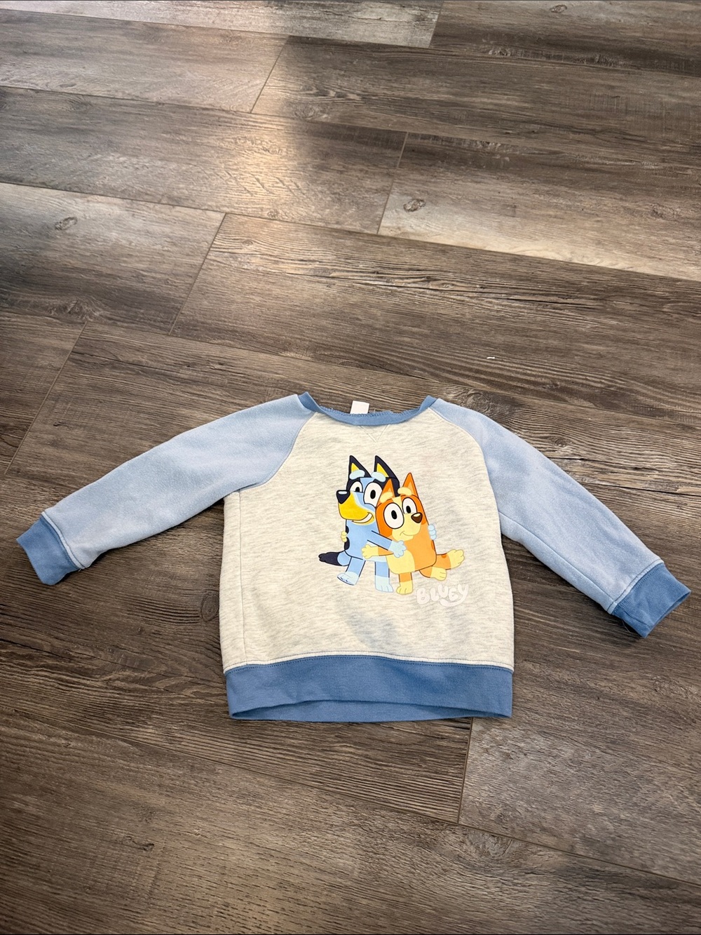 Old Navy Bluey Light Blue & Heather Gray Kids Sweatshirt